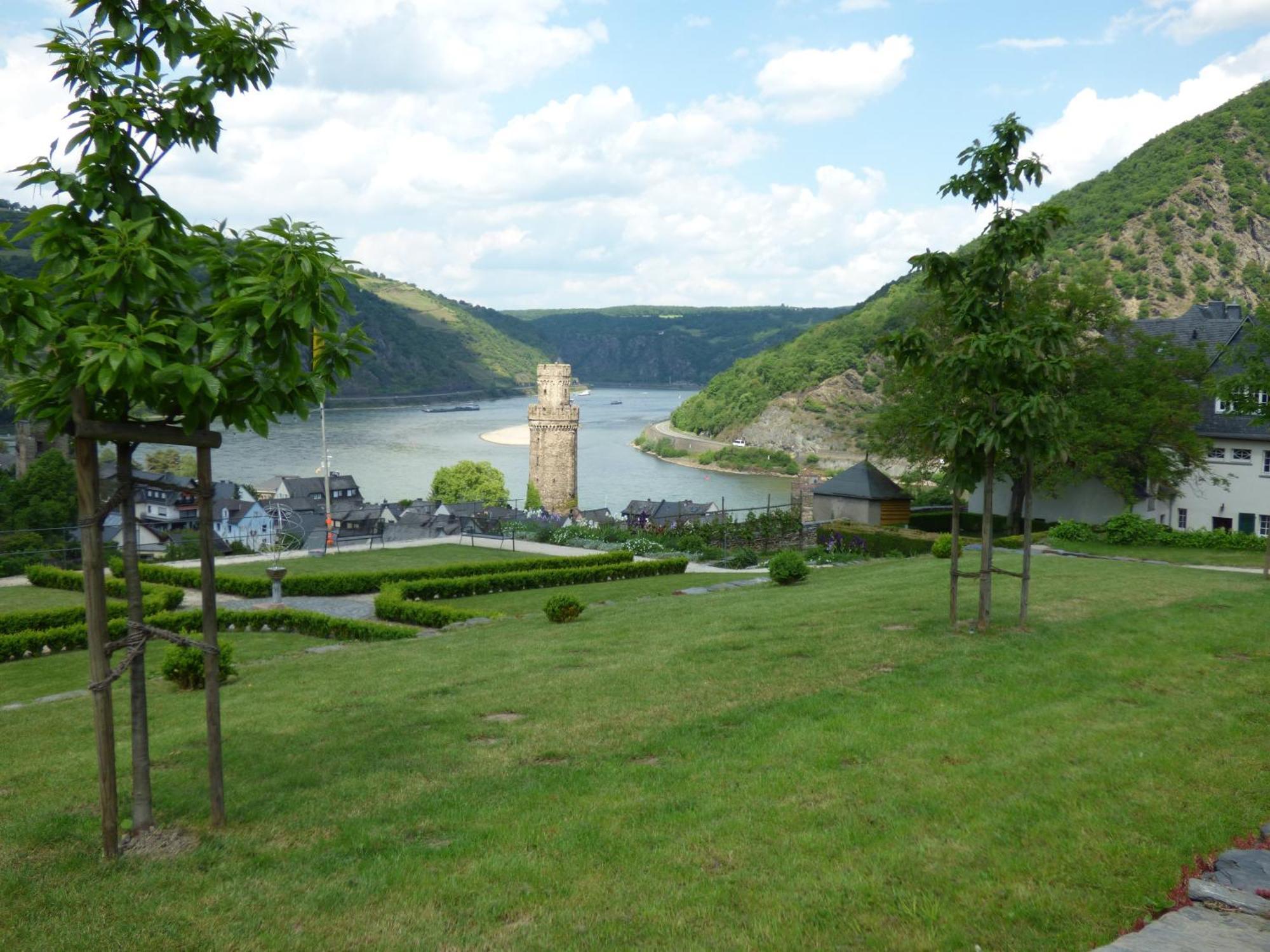 Goldener Pfropfenzieher Oberwesel Dış mekan fotoğraf