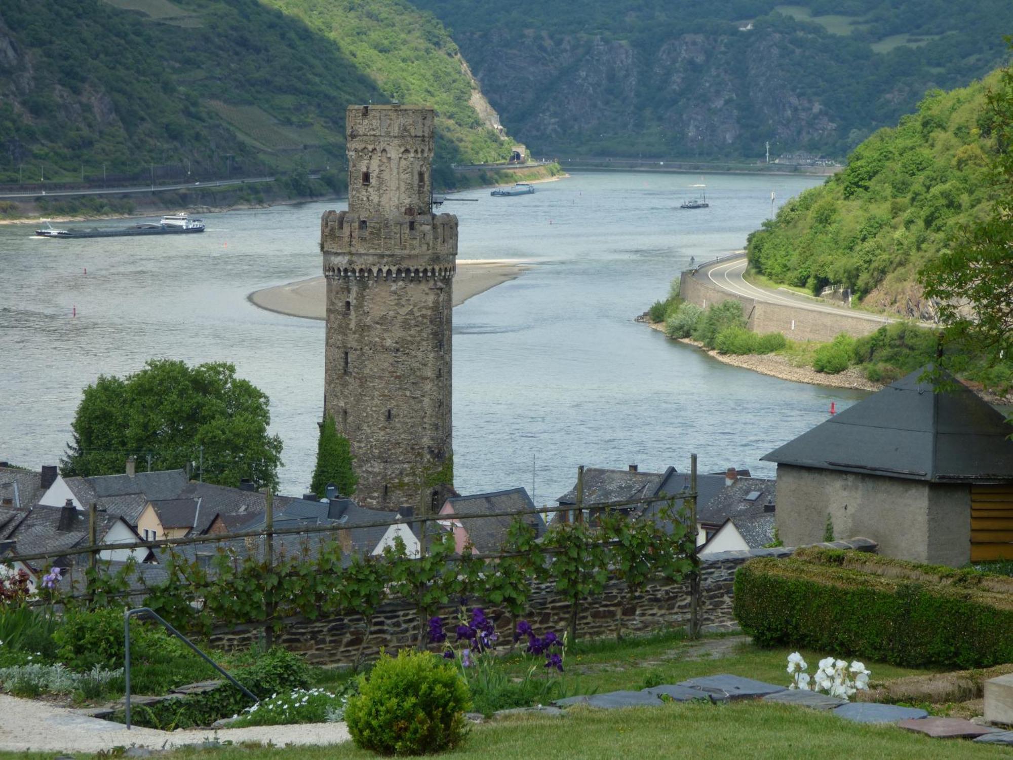 Goldener Pfropfenzieher Oberwesel Dış mekan fotoğraf